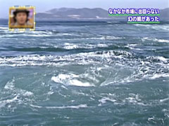 幻の鯛 鳴門の鯛 鳴門の渦潮