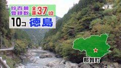 ナニコレ珍百景 徳島県 那賀町