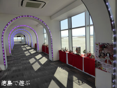 徳島阿波おどり空港 ひな人形 2014