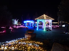 あすたむらんど徳島 クリスマスイルミネーション 2011