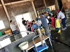 徳島県鳴門市大津町 鳴門レンコンべっぴん会 レンコン掘り体験 2018