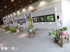 徳島県阿波市 阿波オープンガーデン2015 フォトコンテスト受賞作品展
