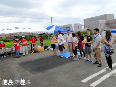 スイカ割り世界大会 in 阿波市 2013