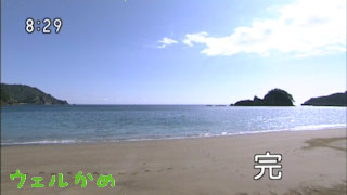 ウェルかめ 最終回