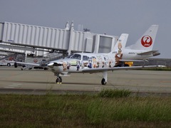 徳島県 徳島阿波おどり空港 けものフレンズ けもフレ痛飛行機 2017