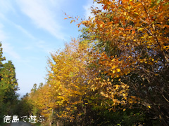 岳人の森 2013