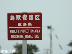 徳島県鳴門市大麻町 鳴門コウノトリ鳥獣保護区