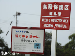 徳島県鳴門市大麻町 鳴門コウノトリ鳥獣保護区