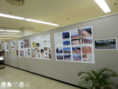 徳島県鳴門市 キョーエイ鳴門駅前店 発掘された鳴門の遺跡展