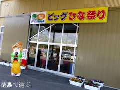 第25回 ビッグひな祭り 2013