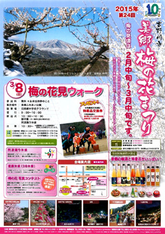 徳島県吉野川市 美郷 梅の花まつり 2015