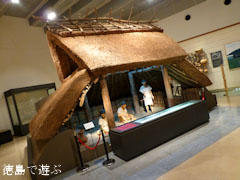 徳島県立埋蔵文化財総合センター