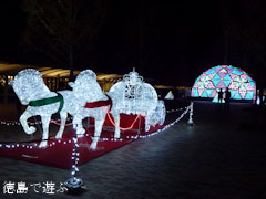あすたむらんど徳島 クリスマスイルミネーション 2011