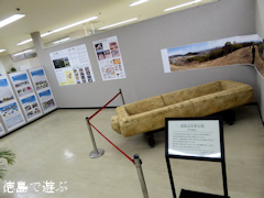 徳島県鳴門市 キョーエイ鳴門駅前店 発掘された鳴門の遺跡展