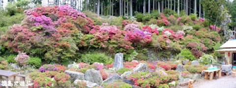 上分花の隠里
