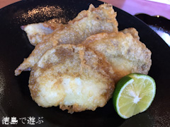 岳人の森 観月茶屋 2014