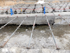 吉野川第十堰 内部構造 見学