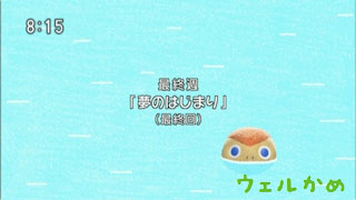 ウェルかめ 最終回