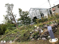 徳島県徳島市国府町 徳島大学 薬用植物園 2017
