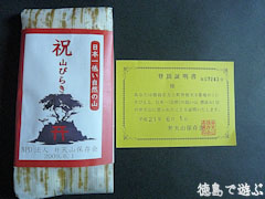 弁天山 山開き
