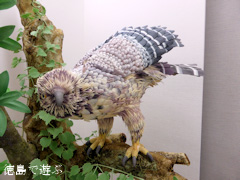 徳島県鳴門市 和庵 鳳月坊 第5回 菓陶展 2014