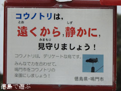 徳島県鳴門市大麻町 鳴門コウノトリ鳥獣保護区