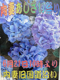 内妻あじさい祭