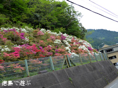 ÆÁÅ縩¾¡±º·´¾å¾¡Ä®Ê¡¸¶ Íî¹çÀéËܤĤĤ¸±à 2015
