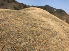 徳島県鳴門市大津町 大代古墳 一般公開 2018