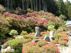 徳島県名西郡神山町 上分花の隠里 ツツジ 2014