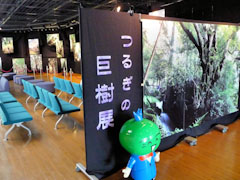 つるぎの巨樹展