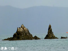 鳴門 名勝 夫婦岩