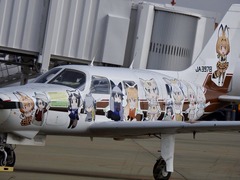 徳島県 徳島阿波おどり空港 けものフレンズ けもフレ痛飛行機 2017