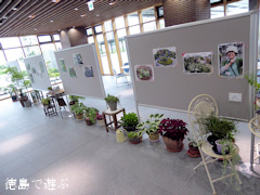 徳島県阿波市 阿波オープンガーデン2015 フォトコンテスト受賞作品展