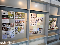 徳島県徳島市万代町 小山助学館 本店 鳴門 コウノトリ 記録 写真展