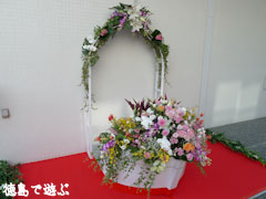 ウェルかめ