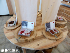 徳島県名西郡神山町 里山みらい 神山ルビィ 七人展 2014
