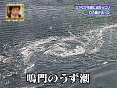 幻の鯛 鳴門の鯛 鳴門 うず潮