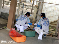 徳島インディゴソックス JR蔵本駅周辺 クリーンアップ活動 2014