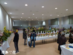 第55回 徳島洋蘭展