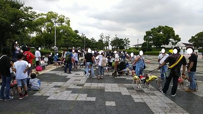 わんだらけイタグレオフ会17