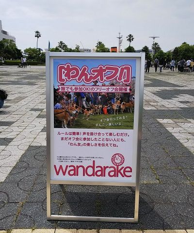 わんだらけイタグレオフ会1