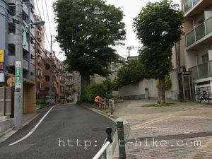 RIMG0571