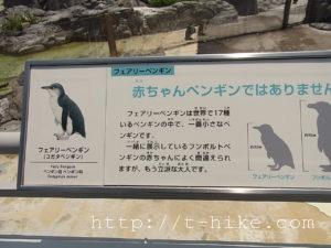 RIMG0270