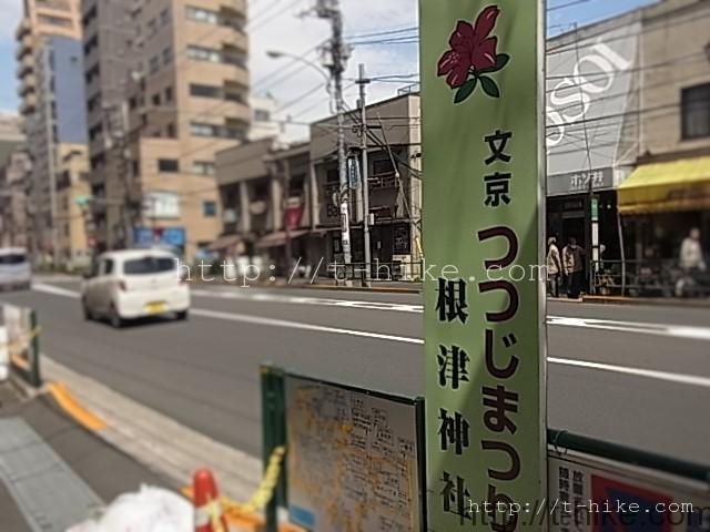 RIMG0022