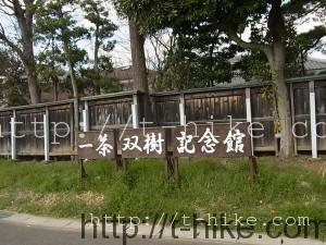 RIMG0896