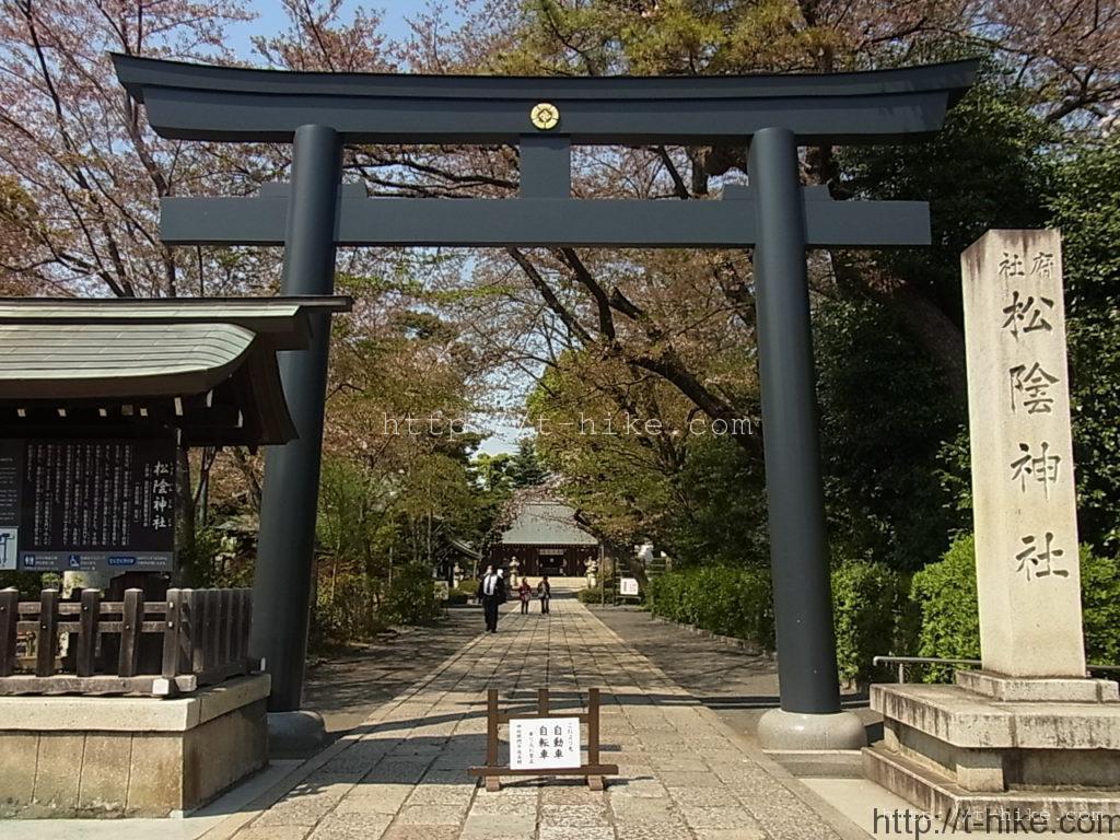 RIMG0222