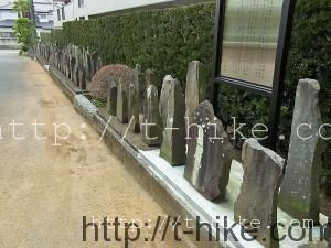 RIMG0856