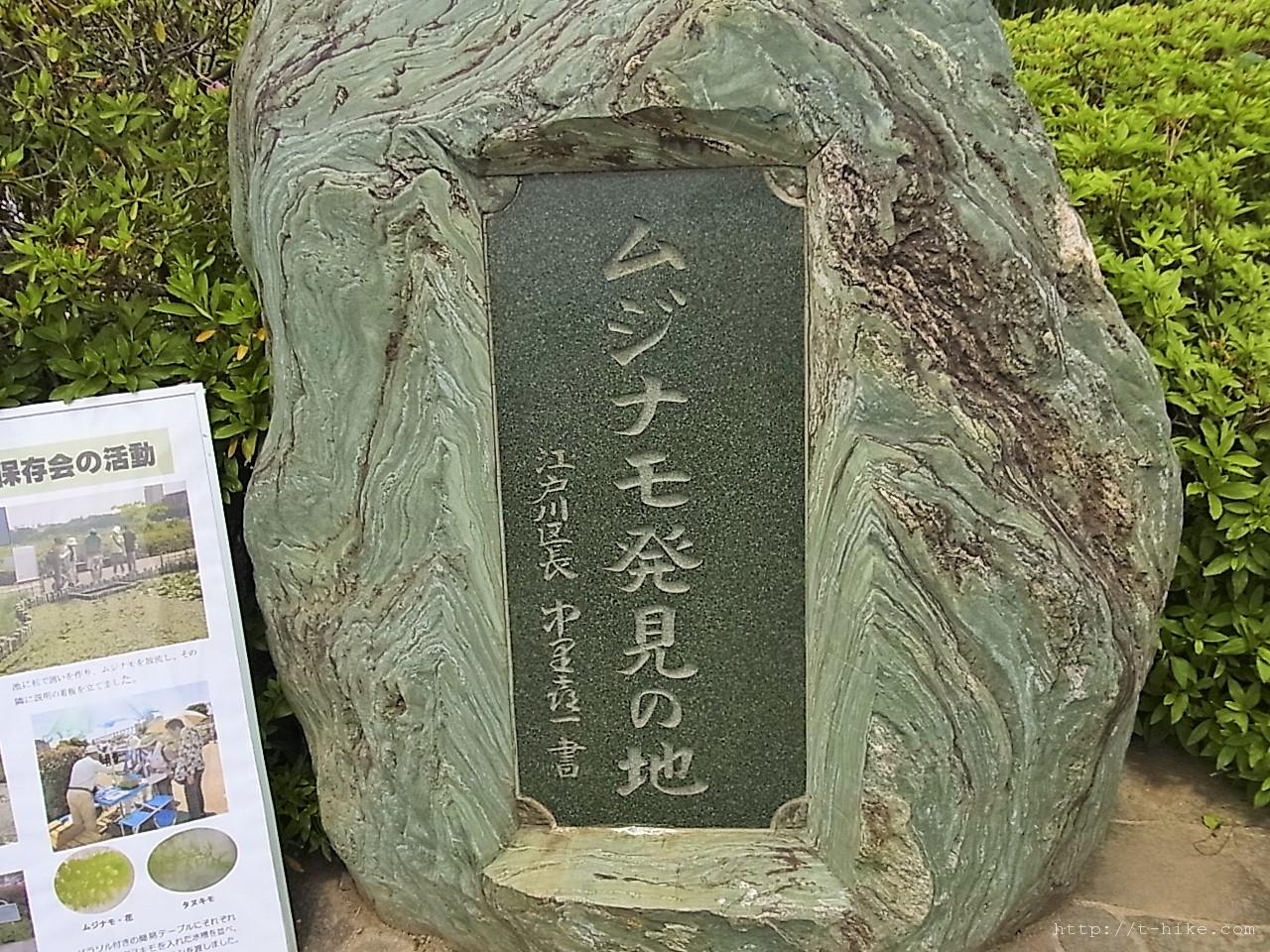RIMG0245