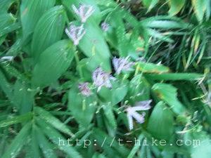 rimg0392